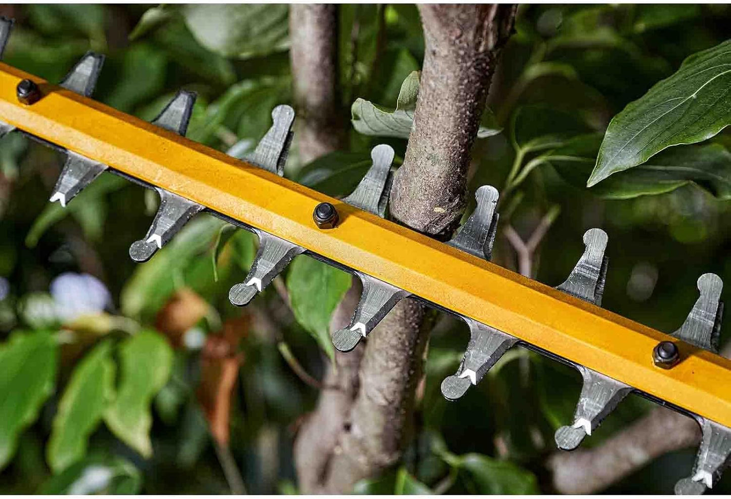 Taille-haie Dewalt DCMHT573N XR Flexvolt 65 cm