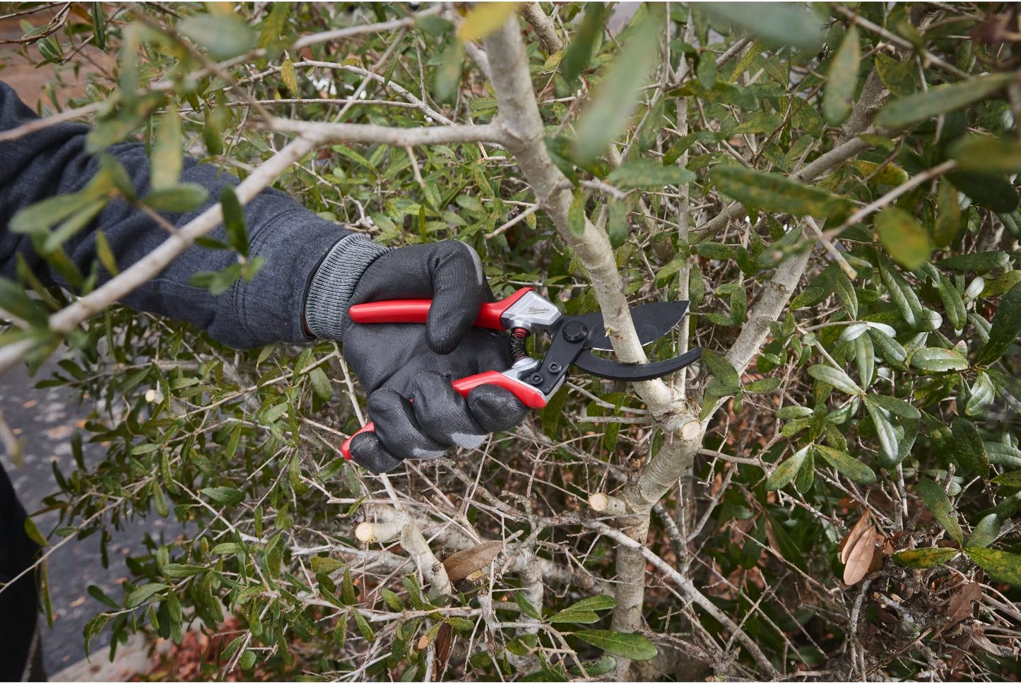 Tijera de poda de Bypass 25mm con funda Milwaukee