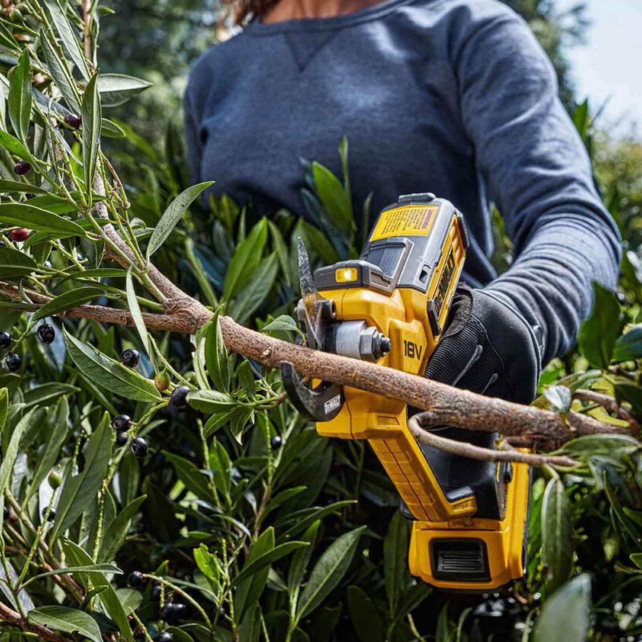 Dewalt XR 18V ​​handsnoeischaar met accu en lader DCMPP568P1